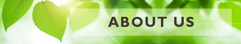 ABOUT-US-BANNER