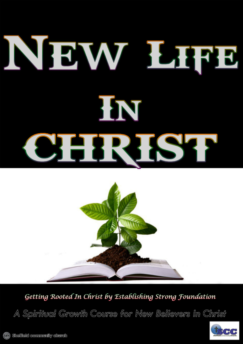 New Life in Christ final final